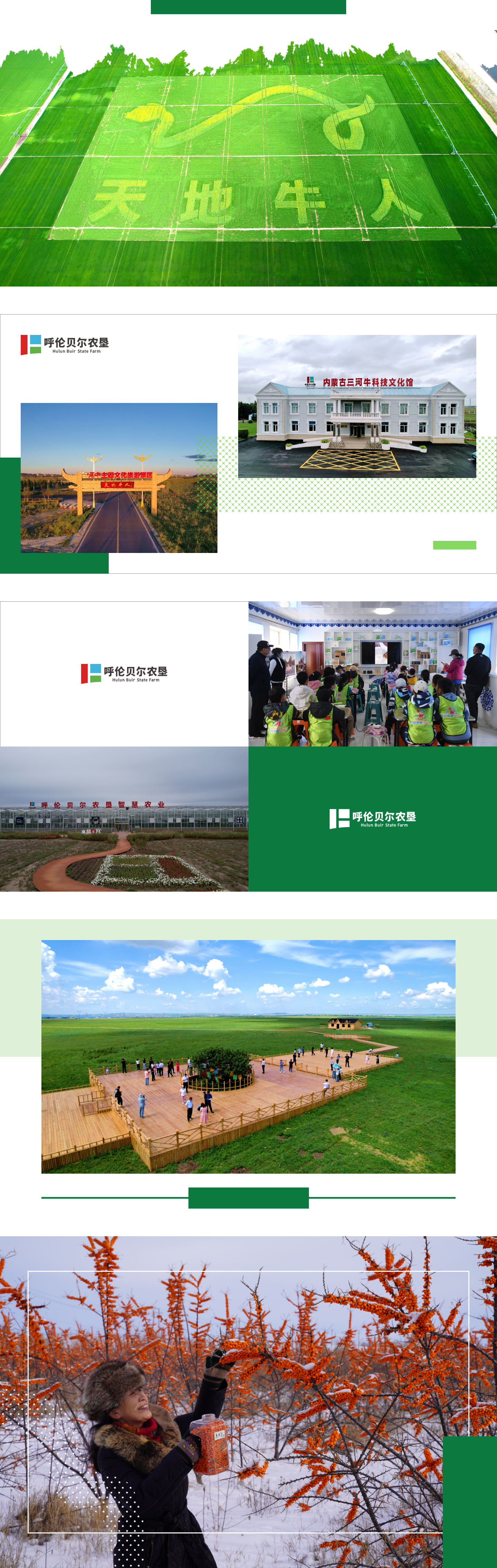 組 3293_看圖王.jpg